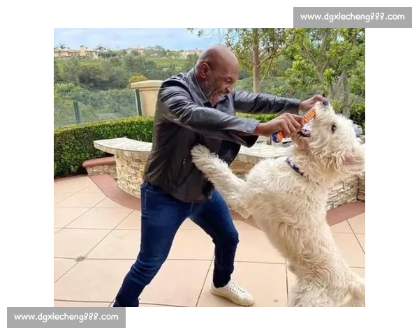 嘴炮对决泰森跨时代拳坛话题之王终极想象战谁能主宰历史擂台巅峰